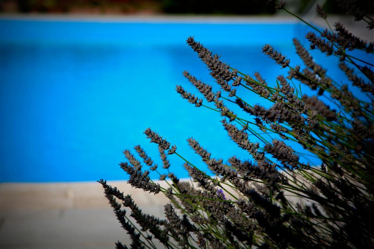 Agriturismo Girolomoni - Locanda Isola del Piano エクステリア 写真